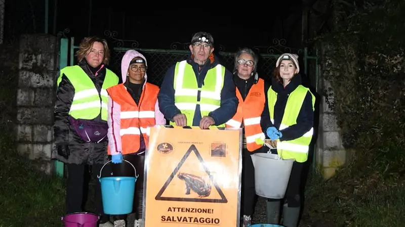 I turni dei volontari durano 3-4 ore