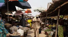 epa11235925 Vendors sell their produce at Gbagi market in Ibadan Oyo State, Nigeria, 21 March 2024 (issued 22 March 2024). Figures from the National Bureau of Statistics (NBS) show that Nigeria's headline inflation has moved to 31.70 percent in February, a hike of a 1.80 per cent increase from what was recorded in January. Food inflation is the most affected with a 13.57 per cent increase when compared to the rate recorded in February 2023 according to the NBS. EPA/EMMANUEL ADEGBOYE