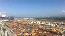 Il porto container di Gioia Tauro
