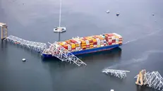 BALTIMORE, MARYLAND - MARCH 26: In an aerial view, cargo ship Dali is seen after running into and collapsing the Francis Scott Key Bridge on March 26, 2024 in Baltimore, Maryland. Rescuers are searching for at least seven people, authorities say, while two others have been pulled from the Patapsco River. Tasos Katopodis/Getty Images/AFP (Photo by TASOS KATOPODIS / GETTY IMAGES NORTH AMERICA / Getty Images via AFP)