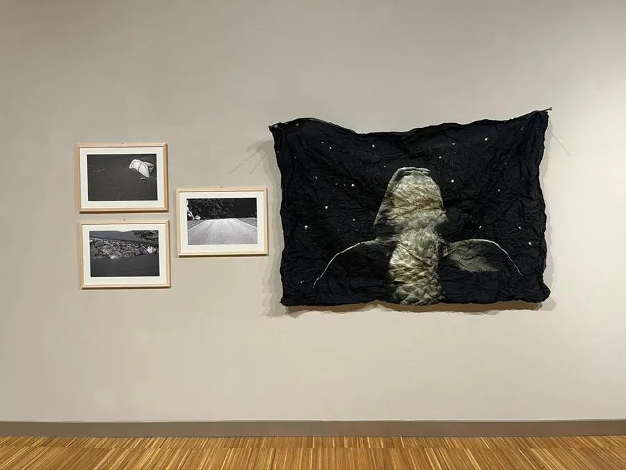 Le opere in mostra di Sara Munari