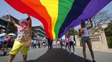 epa03423263 Some of the thousands of gay and lesbian participants march through the streets during the annual Gay Pride March, in Johannesburg, South Africa, 06 October 2012. Although South Africa has a very liberal constitution protecting gay rights, Africa in general, and in particular, Uganda, has a recent history of persecution of gays and lesbians. EPA/KIM LUDBROOK