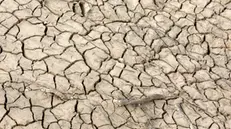 epa11233528 A view of a dry and cracked ground due to rising temperatures and lack of rain at the El Aroussia dam in Tebourba, Manouba region, Tunisia, 21 March 2024. Tunisia has suffered from a drought and a decline in dam reserves, due to climate change. The last three years have been marked by high temperatures and low rainfall rates. According to the latest data published by the General Directorate of Dams and Major Hydraulic Works, the reserves of Tunisian dams totaled 543,483 cubic meters until mid-December 2023, while the average reserves of the last three years, at the same period, were 859,791 cubic meters, thus recording a drop of more than 300,00 meters cubes. World Water Day will be marked on 22 March. EPA/MOHAMED MESSARA