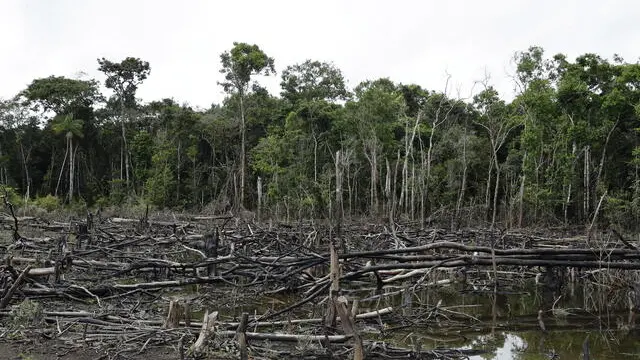 epa10145291 The deforested Amazon rainforest in San Jose del Guaviare, Colombia, 20 August 2022 (issued 29 August 2022). Despite the fact that deforestation is prohibited in Guaviare by the Colombian State and the dissidents, the Amazon jungle, which occupies practically the entire territory, continues to shrink year after year giving way to an immense pasture. EPA/MAURICIO DUENAS CASTANEDA