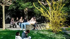 Molte persone si godono la giornata di inizio primavera al parco del Valentino. Torino 21 marzo 2024 ANSA/TINO ROMANO