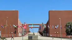 Ponte Bucci Unical