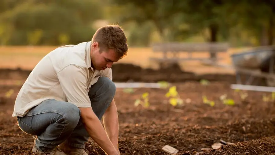 Un ragazzo si prende cura dell'orto - Foto Unsplash