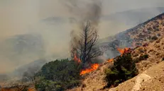 epa10767988 A fire burns trees and low vegetation in Vati village, on Rhodes Island, Greece, 25 July 2023. The toughest fires so far are on Rhodes and Corfu, the Fire Brigade's spokesperson Yiannis Artopios said on 25July, while the other fires have rekindlings. The rekindling early in the morning in the region of Vati, Southeast Rhodes, resulted in evacuation orders through the 112 emergency notification system, calling on residents to leave in the direction of Lindos. A total of 266 firefighters, 16 rough terrain teams, 55 water trucks, several volunteers and Civil Protection agencies are constantly operating in the region, Artopios said, aided by 9 airplanes and 4 helicopters that operate during the day. EPA/DAMIANIDIS LEFTERIS