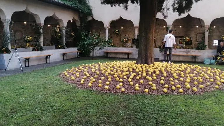 «Giardini d'agrumi» a Gargnano