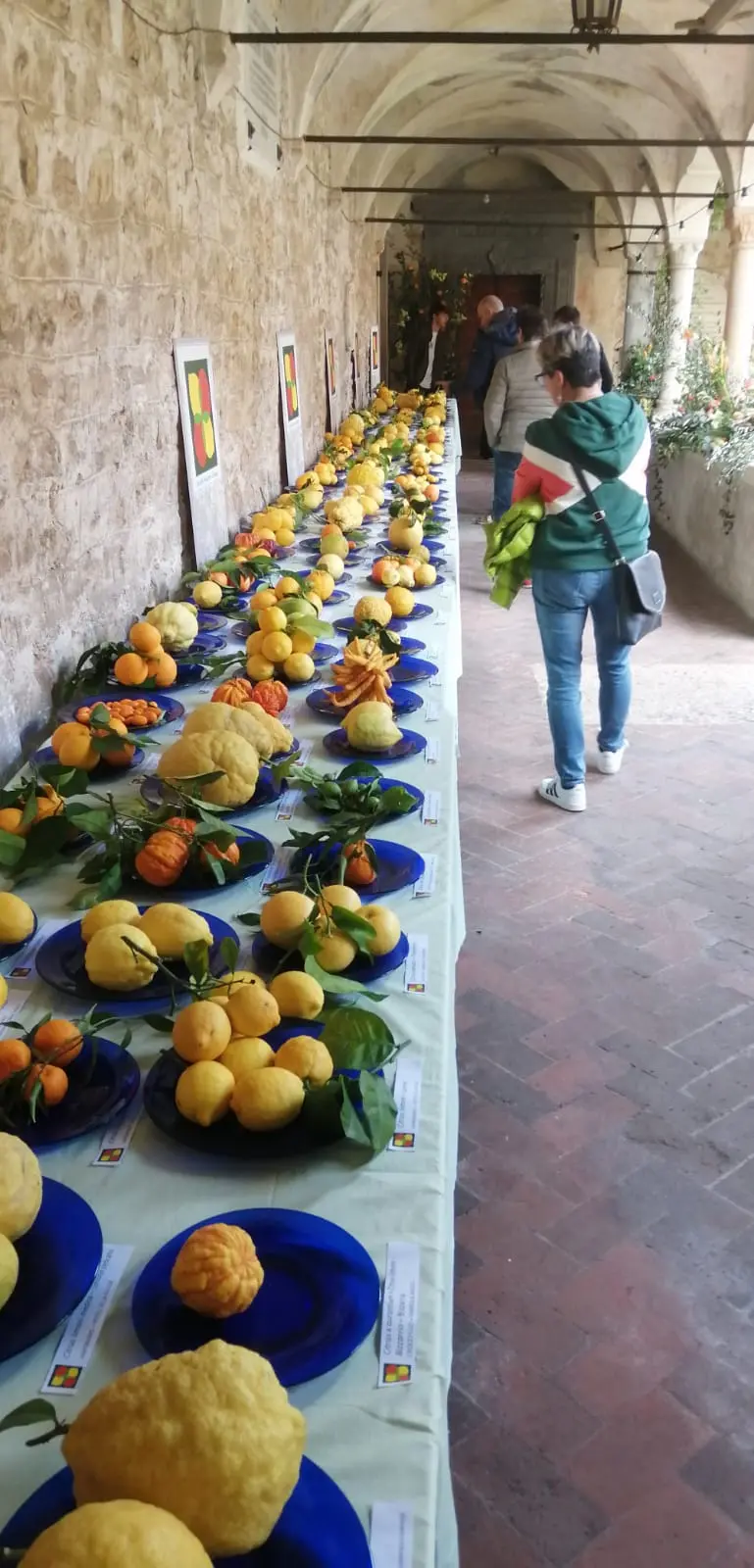 Sono proposte oltre 50 varietà di agrumi - © www.giornaledibrescia.it