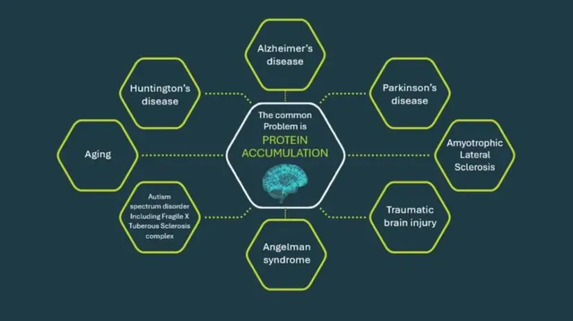 «Ritrova» ha come obiettivo la cura delle malattie neuropsicologiche