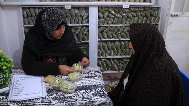 epa11216502 Shukrieh Ahmadi, the woman in charge of a herbal pharmacy, talks to a patient at her clinic in Herat, Afghanistan, 06 March 2024 (12 March 2024). A woman in Herat has established a center for the production of herbal medicines. Herbs are collected, processed, and packaged along with various medicinal plants sourced from Herat. The botanical center also conducts educational seminars on botany. The manager of the center also sees patients in the workshop and operates a shop to distribute the medical drugs to the community. EPA/STRINGER