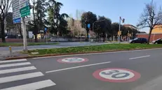 Bologna Città 30, traffico, strada, strisce pedonali, generica, simbolica