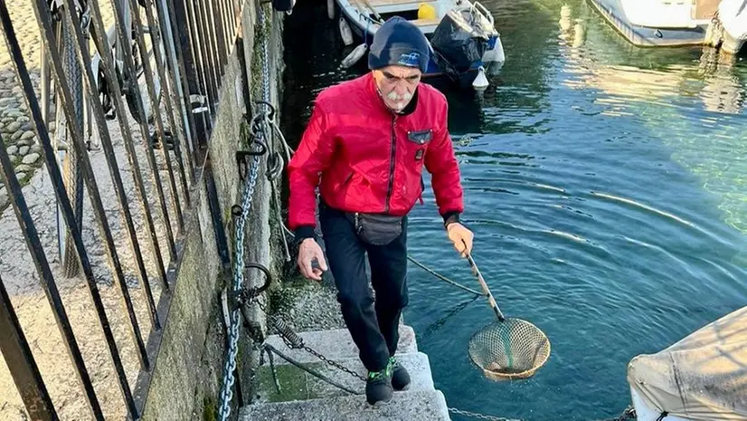 Multa da 500 euro al volontario di Desenzano che raccoglie i rifiuti |  Giornale di Brescia