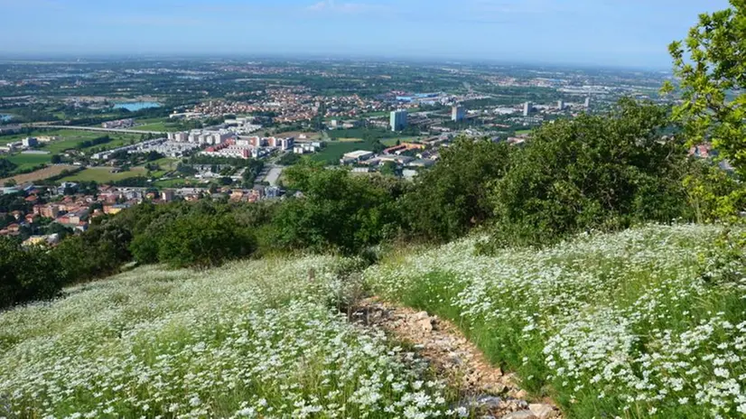 Uno scorcio suggestivo del crinale della valle del Carobbio