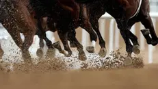 epa11251199 Jockeys on horses compete in the UAE Derby race during the Dubai World Cup 2024 at the Meydan racecourse in Dubai, United Arab Emirates, 30 March 2024. EPA/ALI HAIDER