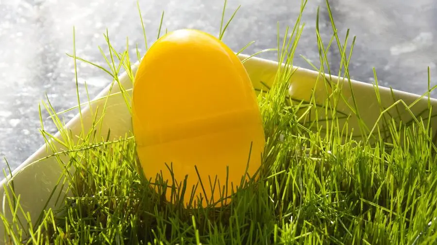 L'ovetto giallo della sorpresa