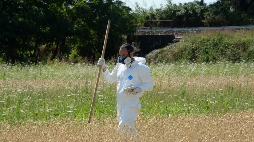 Uno dei tecnici dell'Ersaf impegnato nelle analisi dei terreni contaminati dalla Caffaro - © www.giornaledibrescia.it