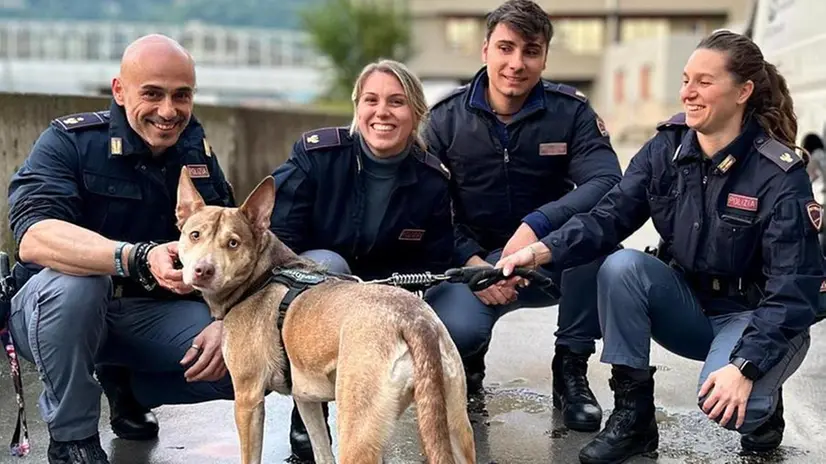 La cagnolina Laica in Questura - Foto Polizia di Stato © www.giornaledibrescia.it