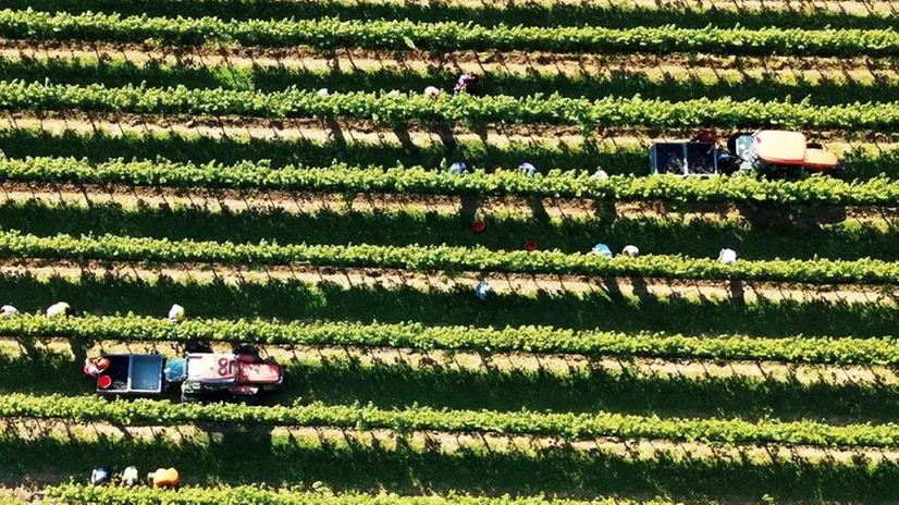 La Cascina Bottenago sarà la sede dell’incontro