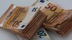 Alcune mazzette di banconote da 50 e 20 euro. Danilo Schiavella/ANSA