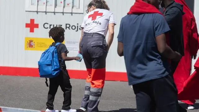 Un bambino migrante accolto da una volontaria - Foto Ansa © www.giornaledibrescia.it