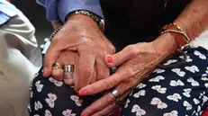 Le mani strette di Pasquale Ranieri 86 anni (S) e Graziella Pistorio 83 anni (D), nel centro per gli sfollati del Centro Civico Buranello. Genova, 06 settembre 2018. ANSA/LUCA ZENNARO
