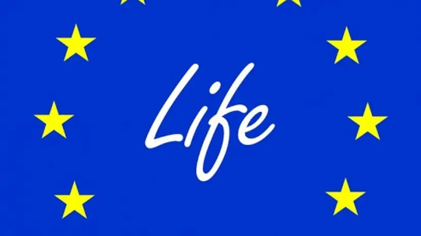 Il logo del programma europeo LIFE