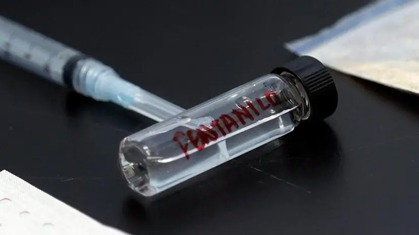 Una fiala di fentanyl analizzata in laboratorio - Foto Ansa © www.giornaledibrescia.it