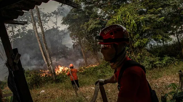 epa10842926 Firefighters working on a fire in a green area between Manaus and Iranduba, in the Amazon, Brazil, on 05 September 2023. The deforested area of the Brazilian Amazon fell 66% in August compared to the same month last year and reached the lowest figure since 2018, according to official data released on 05 September. EPA/Raphael Alves