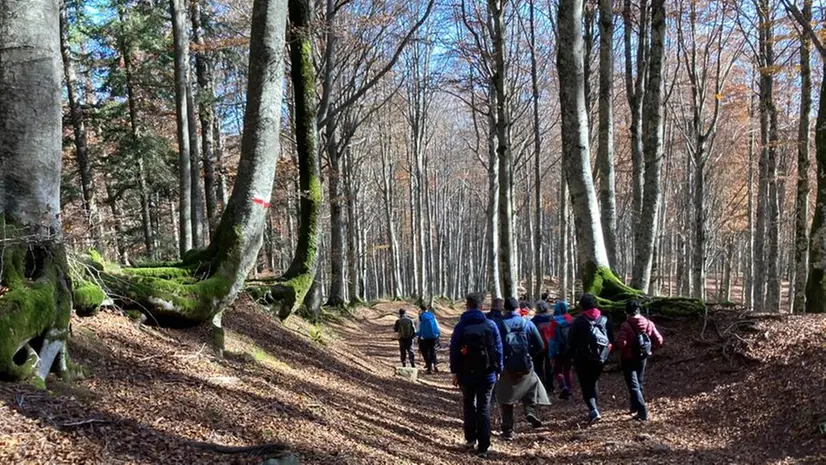 In crescita gli appassionati di Cammini