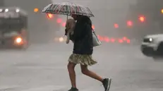 epa11231636 A woman carries her dog while running in the rain in Buenos Aires, Argentina, 20 March 2024. Buenos Aires and its province woke up with an alert for strong storms and winds, which have caused material damage and the cancellation of flights at the main airports. The National Meteorological Service (SMN) raised the storm alert to orange, which implies intense rains with a fall of 50 to 90 millimeters of water with gusts of more than 90 kilometers per hour and fall of hail and a yellow alert for winds of 30 to 70 kilometers per hour with gusts of more than 100 kilometers per hour. EPA/Juan Ignacio Roncoroni