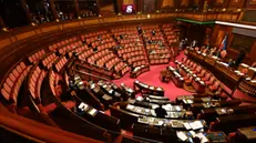 Panoramica dell'Aula nel corso della discussione del DEF 2024 al Senato a Roma, 24 aprile 2024. ANSA/MAURIZIO BRAMBATTI