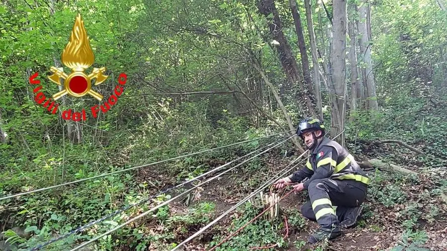 Scivola in un dirupo per soccorrere un asino, recuperata dai Vigili del ...