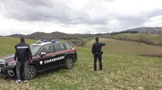 Controlli dei Carabinieri forestali in provincia di Potenza