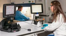 Ricercatori in laboratorio (archivio) - © www.giornaledibrescia.it