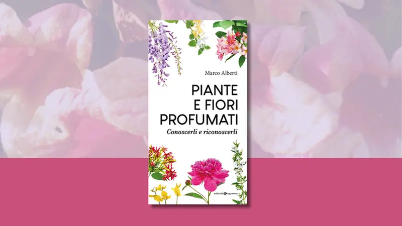 «Piante e fiori profumati. Conoscerli e riconoscerli» (Editoriale Programma; pp. 160) di Marco Alberti