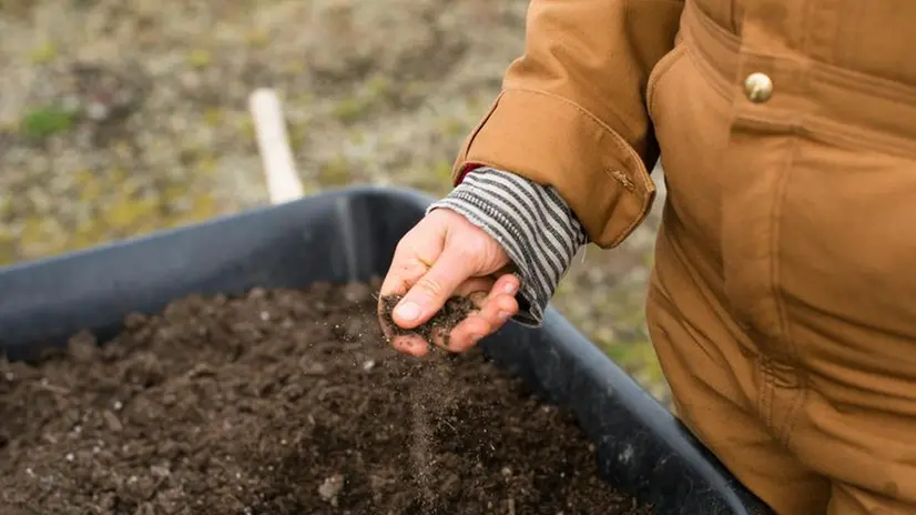 Una persona con le mani nella terra