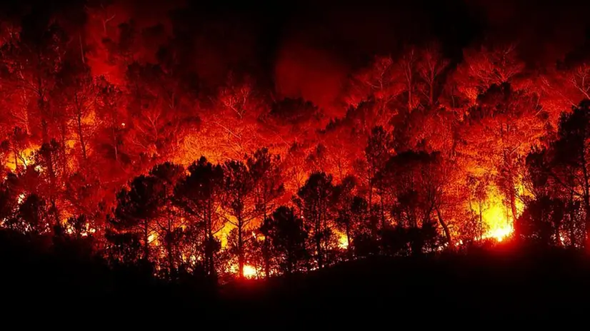 Un incendio boschivo - © www.giornaledibrescia.it