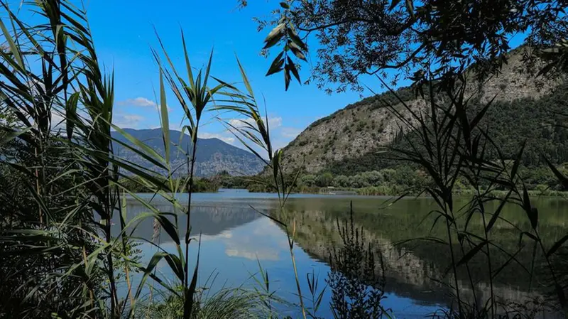 Torbiere del Sebino - Foto Vale98 / Zoom © www.giornaledibrescia.it