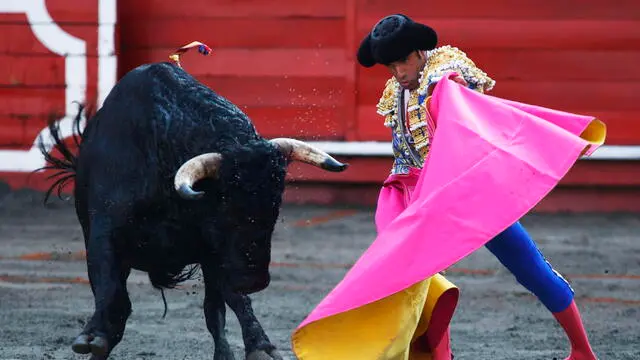 epa11074801 Spanish Emilio de Justo in action against a bull during a bullfight as part of the 69th Manizales Fair in Manizales, Colombia, 13 January 2024. EPA/Jhon Jairo Bonilla