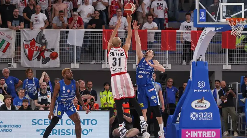 Semifinale play off: Germani-Olimpia