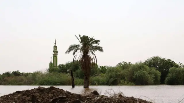 epa07794097 A palm tree behind one of the damaged dams is half submerged following heaving floods in Wad Ramli, some 45 km north of Khartoum, Sudan, 25 August 2019. According to local witnesses, Wad Ramli inhabitants were surprised on 21 August by the sudden and heavy arrival of water in their streets, after the Nile river went above the dams. Witnesses report that they waited for one day or two for the water to receded but as it did not, the about 8,000 inhabitants were forced to leave for safety, a few kilometers outside their village. They started receiving aid from the government and a Saudi NGO and the mainly agricultural village is still under water. According to aid agencies reports, floods have affected some 190,000 people in various states of Sudan, reportedly killing 60. EPA/AMEL PAIN