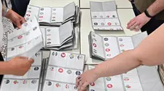 Spoglio delle schede delle elezioni europee presso il seggio in via Ada Negri a Torino, 9 giugno 2024 ANSA/ALESSANDRO DI MARCO