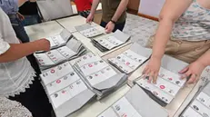 Spoglio delle sche elettorali europee presso seggio in via Gorizia,Torino 9 giugno 2024 ANSA /ALESSANDRO DI MARCO