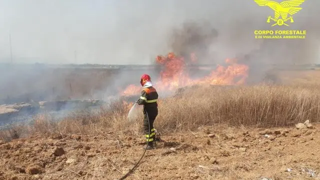 Incendio a Serramanna, corpo forestale spegne fiamme