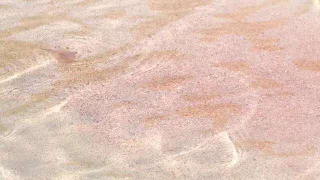 Un'immagine Spiaggia Rosa diffusa il 31 gennaio 2013 dall' "Ente Parco Nazionale dell'Arcipelago di La Maddalena". ANSA