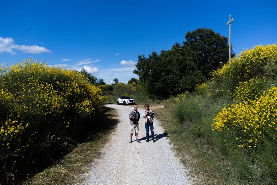 Mille Miglia 2024, terza tappa: Maremma e Scansano