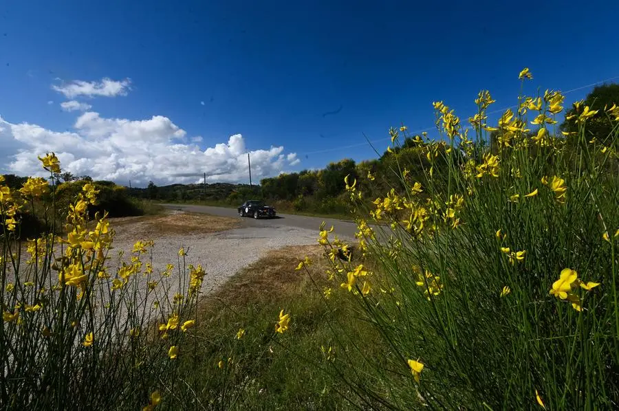 Mille Miglia 2024, terza tappa: Maremma e Scansano