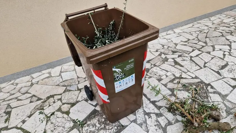 Un bidone per la raccolta porta a porta del verde